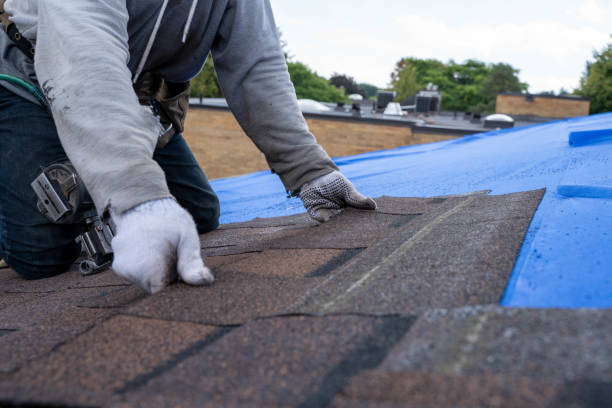 Best Residential Roofing Contractor  in Emmon, AK