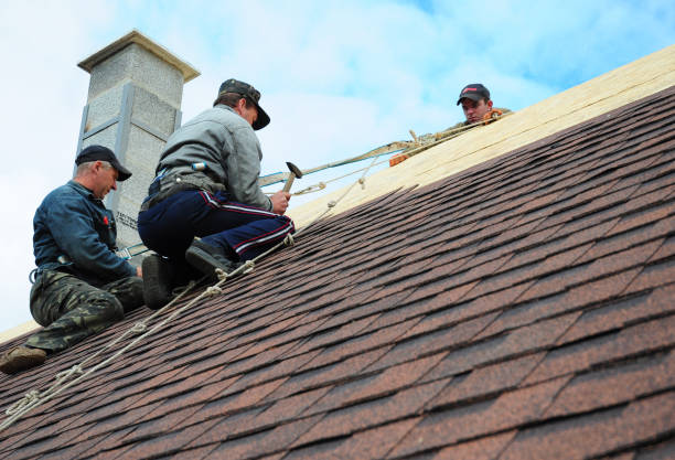 Best Tile Roofing Contractor  in Emmon, AK